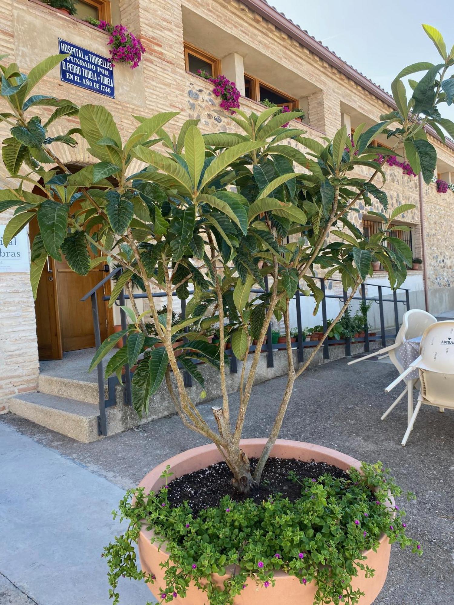 Casa Rural Hospital De Las Palabras Torrelles Exterior foto
